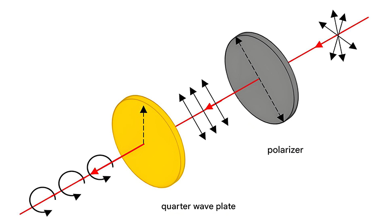 Quarter-wave plate converting linear to circular polarization