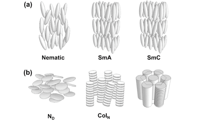 Microscopic view of liquid crystal molecules showing their ordered structure and orientation changes in electric fields